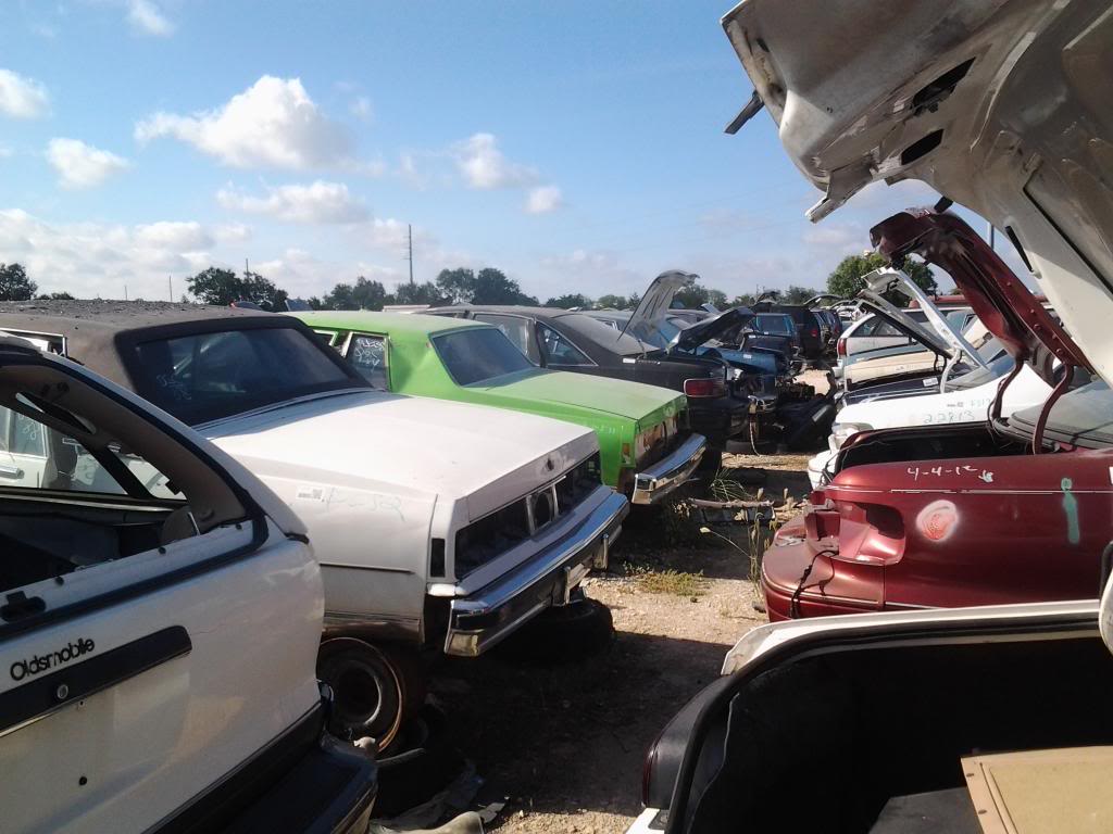 Pick n pull san antonio run today